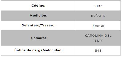 Llanta para moto 110/70-17 (TL) Tipo Tubular Modelo SPORT R Marca Technic Brasil